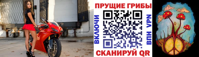 купить   Верхняя Пышма  Псилоцибиновые грибы MAGIC MUSHROOMS 